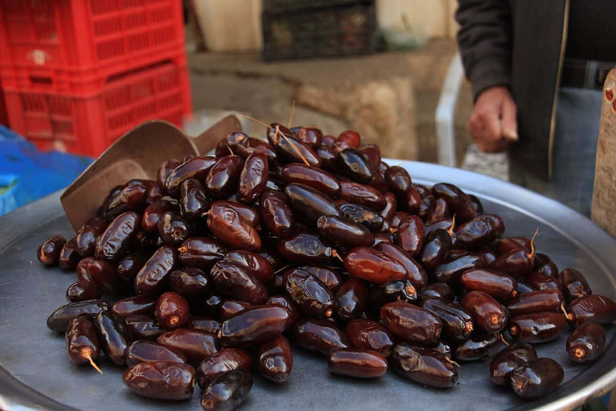  فوائد نواة التمر للجسم و الوقاية من حصى الكلى وتلف الكبد 